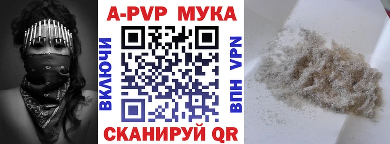 A-PVP СК КРИС Сыктывкар