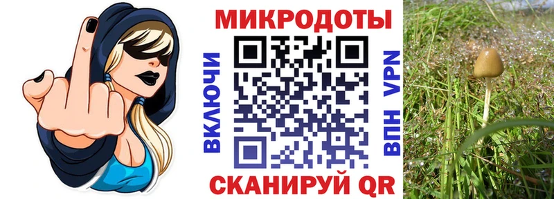 Псилоцибиновые грибы MAGIC MUSHROOMS Сыктывкар