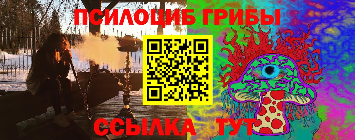 Сыктывкар  Псилоцибиновые грибы GOLDEN TEACHER  Вход с VPN 