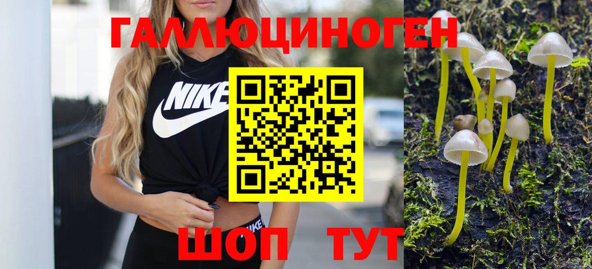 Галлюциногенные грибы Psilocybe Сыктывкар